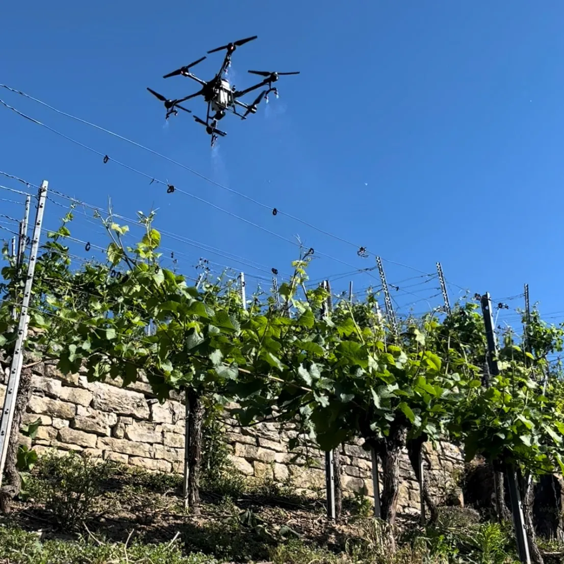 Drohne auf einem Feld