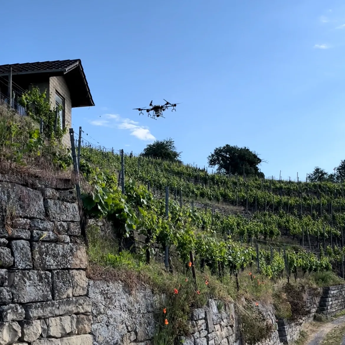 Drohne auf einem Feld