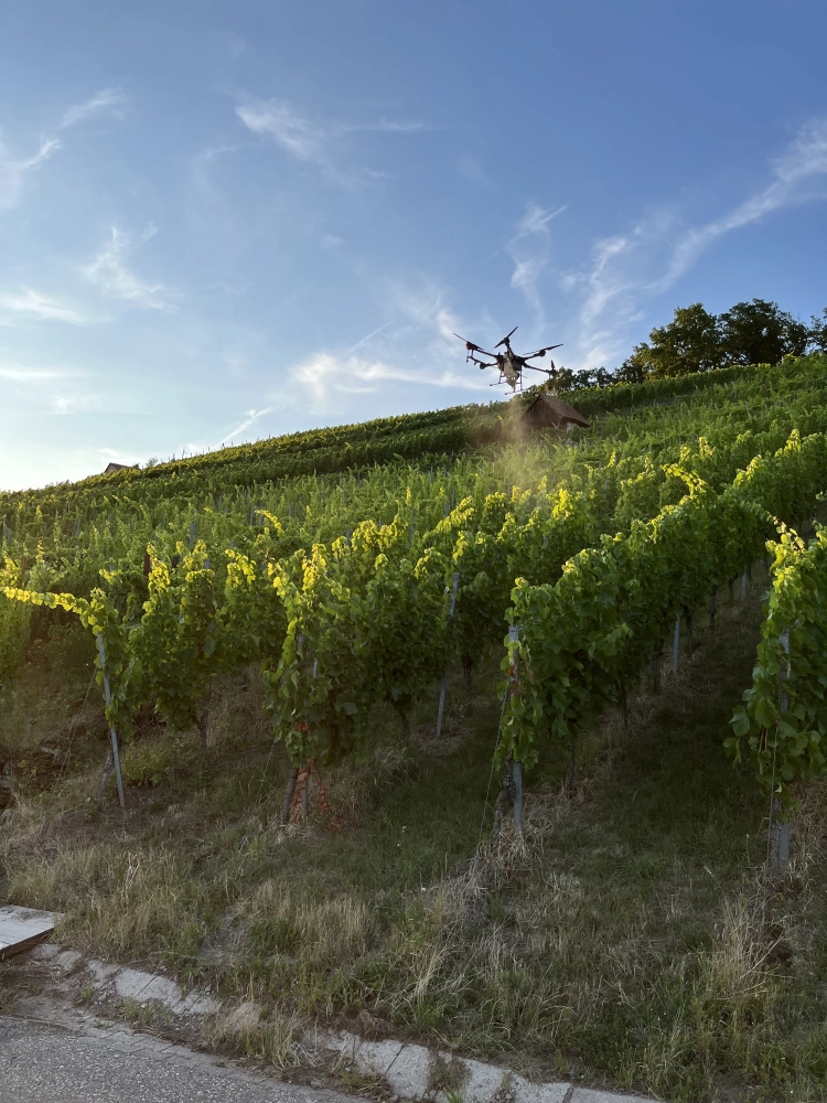 Drohne auf einem Feld